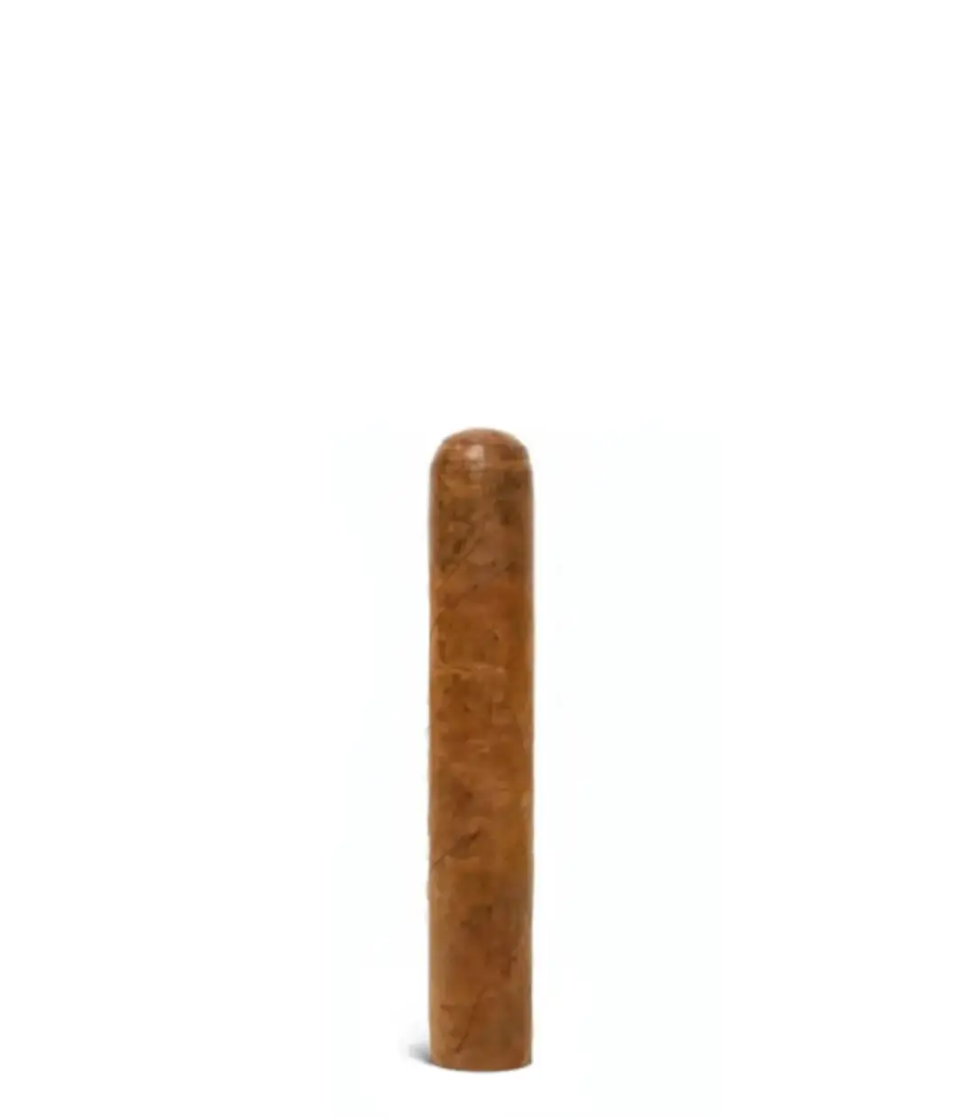 Corona Extra Single